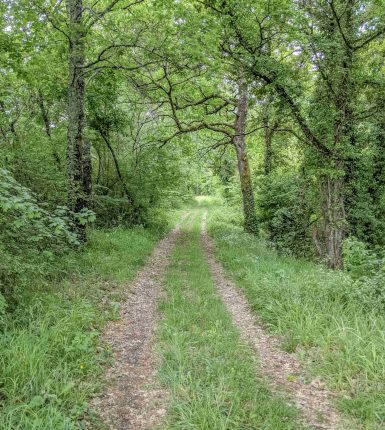 Boucles de randonnée communales