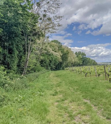 Toutes les activités pédestres