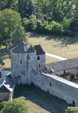 Castillon-Pujols : La Terre des Grands Hommes