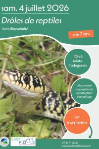 Drôles de reptiles