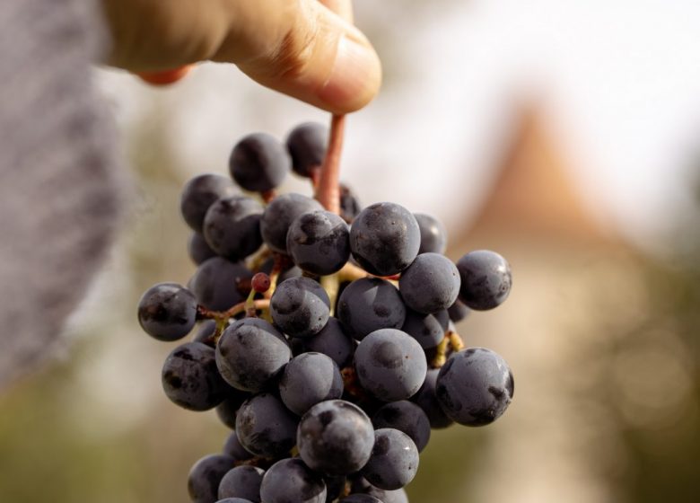 Château Le Pin Beausoleil