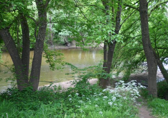 Entre Durèze et Soulège