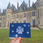 Atelier Cyanotype au château de Montaigne