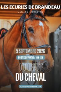 Journée du cheval aux Ecuries de Brandeau