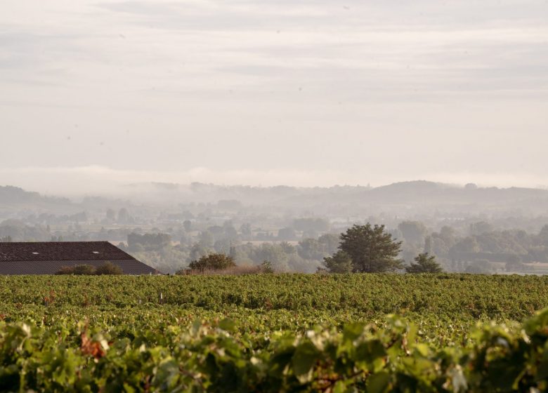 Château Le Pin Beausoleil