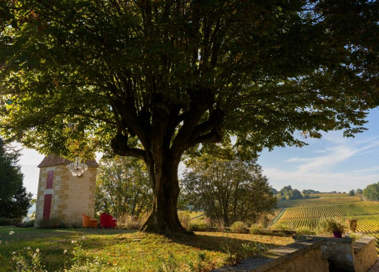 Château d&rsquo;Anvichar
