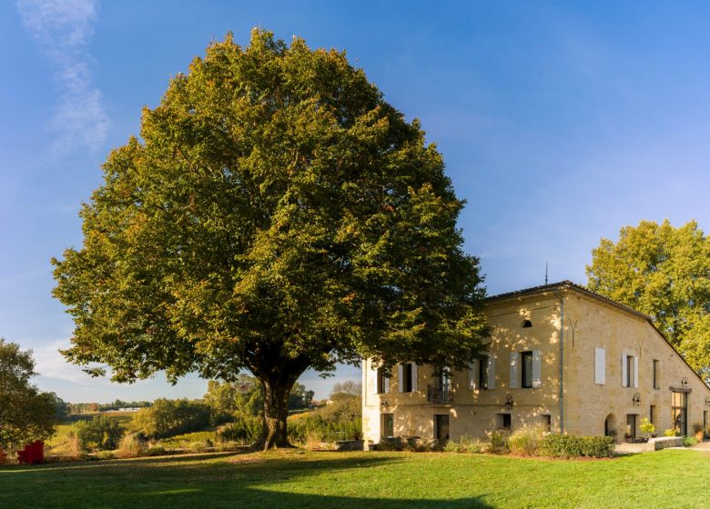 Château d&rsquo;Anvichar