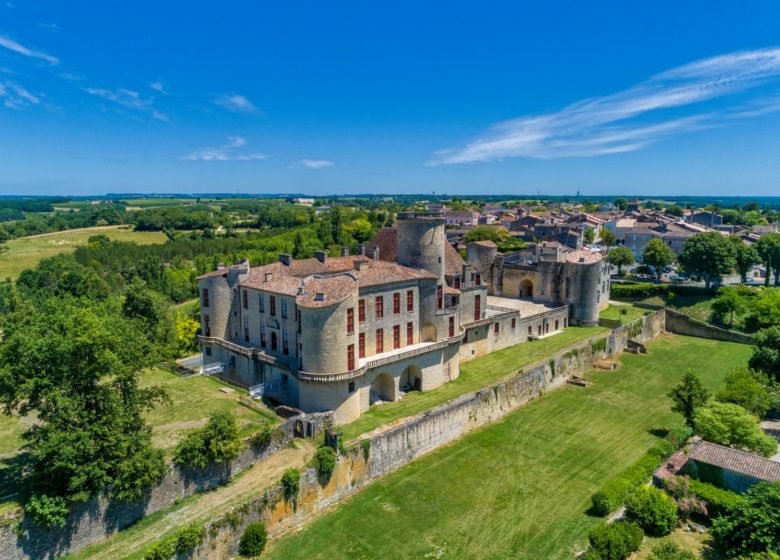 Castillo de Duras - Castillo de los Duques