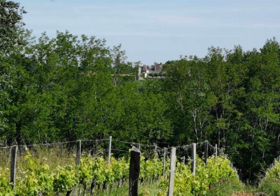 Boucle des coteaux de Castillon-la-Bataille