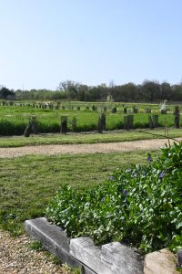 Arboretum de Sainte-Florence