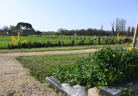 Arboretum de Sainte-Florence