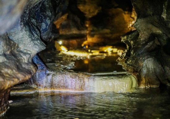 Les Pistes de Robin : à la découverte de Rauzan