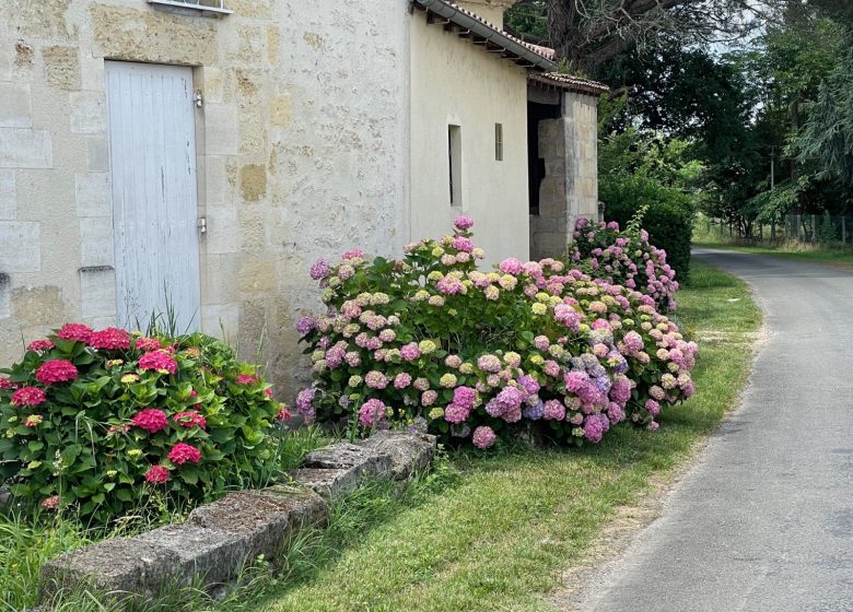Cinégîte du jardin aux étoiles