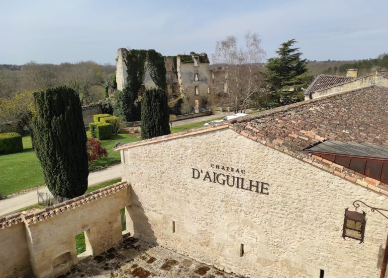 Chateau d'Aiguilhe