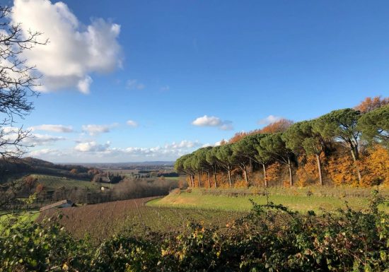 Boucle de Pierre Loti