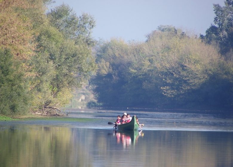 Ride along the water in a Rabaska canoe