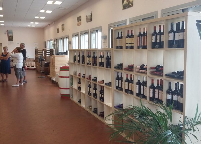 I viticoltori di Puisseguin Lussac-Saint-Emilion