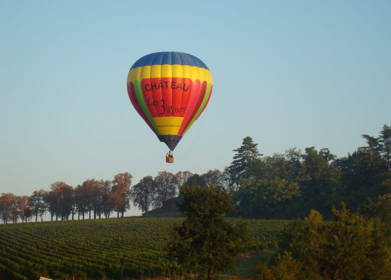 Bordeaux luchtballon - François PONT