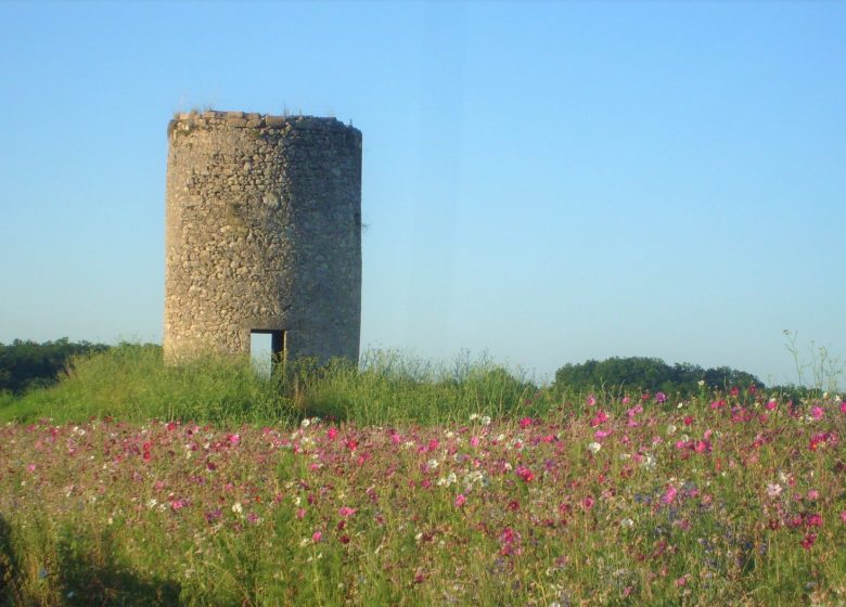 Arboreto y circuito de molinos.