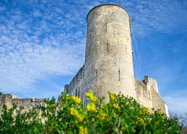 Castillo de Rauzan