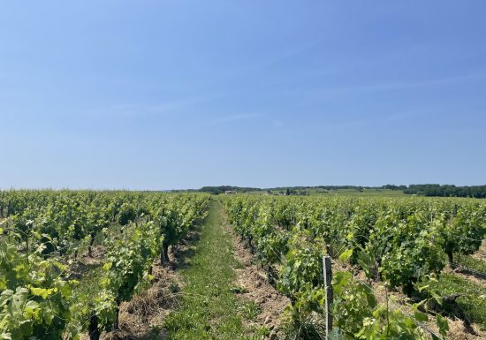 Variante du Lyssandre à l&rsquo;Engranne