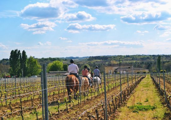 Boucle équestre des Vaillants