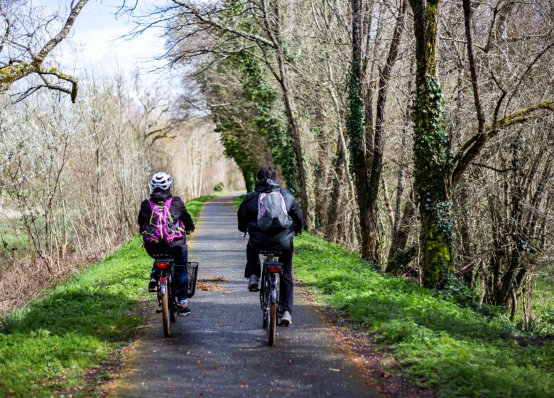 Der Ring romanischer Kirchen