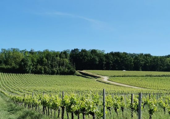 Boucle des coteaux Castillonnais
