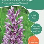 Les orchidées-sauvages