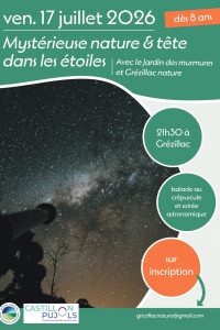 Mystérieuse nature et tête dans les étoiles