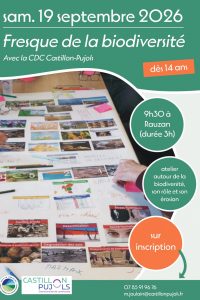 Fresque de la biodiversité