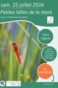 Petites bêtes de la mare